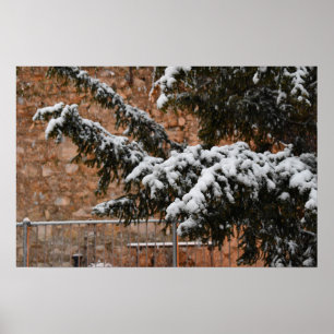 Wintertime , snö på träd poster