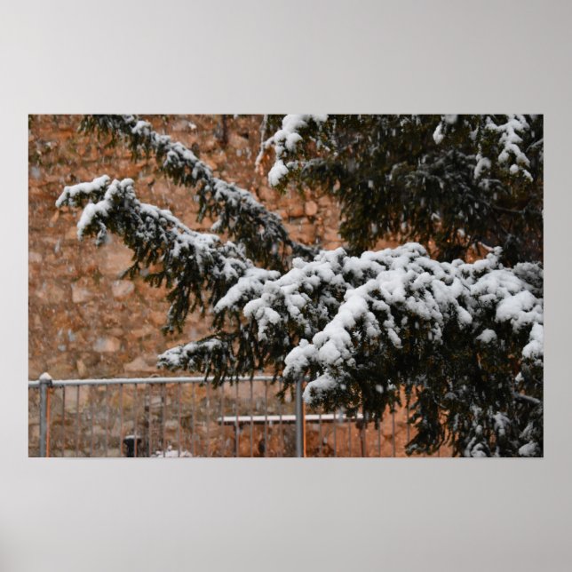 Wintertime , snö på träd poster (Framsidan)