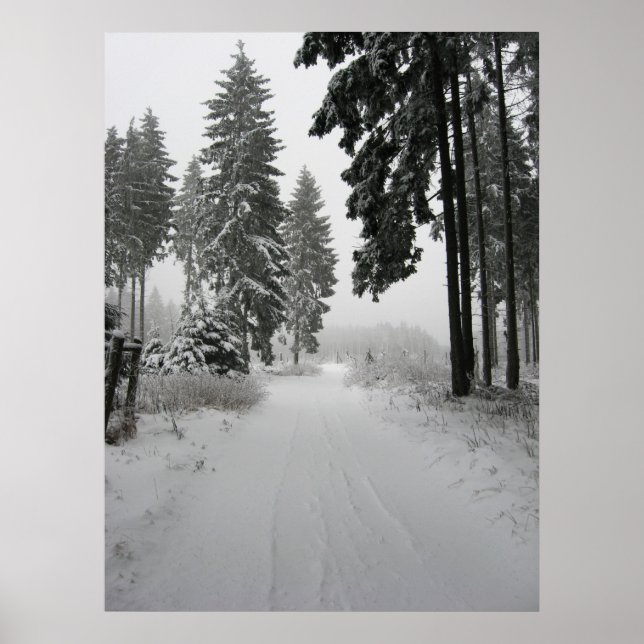 winterwald poster (Framsidan)