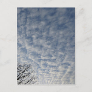 Wintery Clouds Vykort