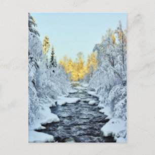 Wintery Stream Vykort