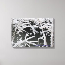 Wintery Stream Wrapped Canvas