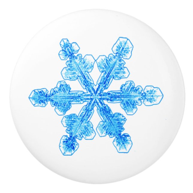 Wintry Blue Snowflake Knopp (Framsidan)