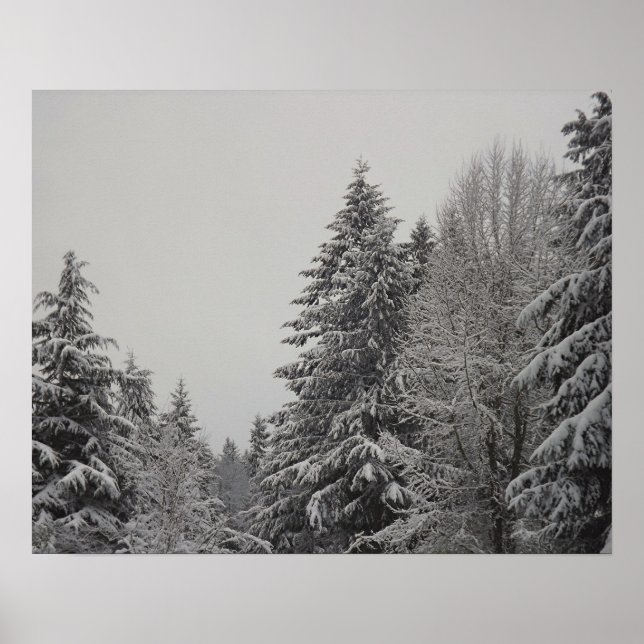 Wintry Forest Poster (Framsidan)