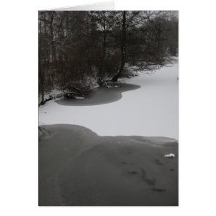 Wintry Sjö Hälsningskort