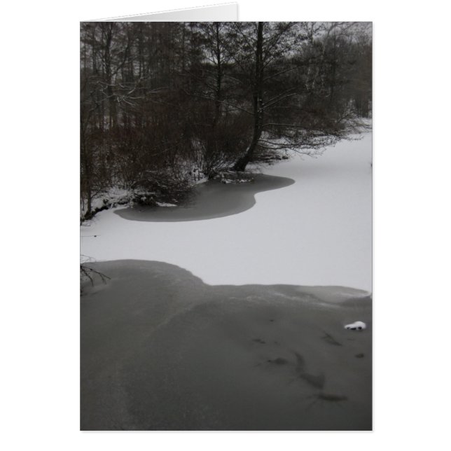 Wintry Sjö Hälsningskort (Framsidan)