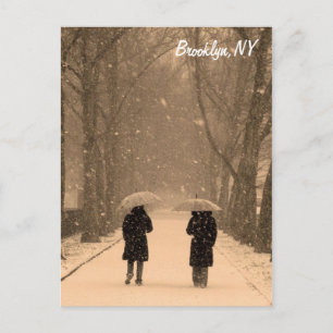 Wintry Walk Brooklyn vykort