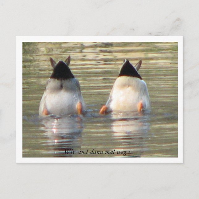 Wir sind dann mal weg! vykort (Framsida)