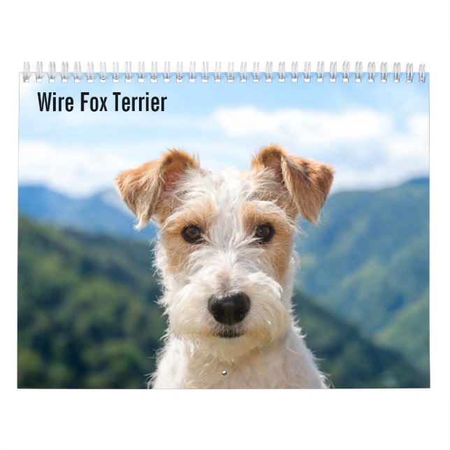 Wire Fox Terrier 2027 Kalender (Omslag)