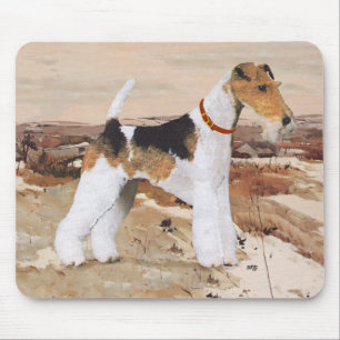 Wire Fox Terrier Höst Musmatta