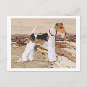 Wire Fox Terrier Höst Vykort
