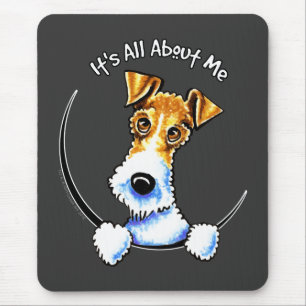 Wire Fox Terrier IAAM Musmatta