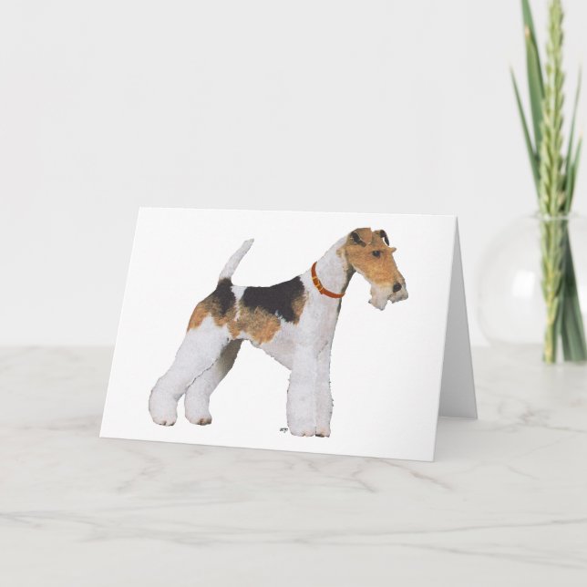 Wire Fox Terrier Kort (Framsida)
