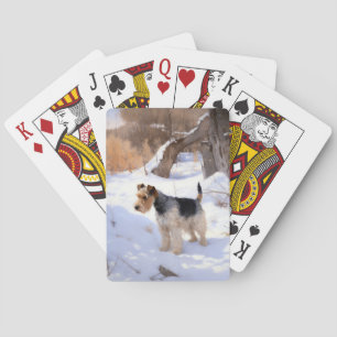 Wire Fox Terrier Låt Det Snö Jul Casinokort