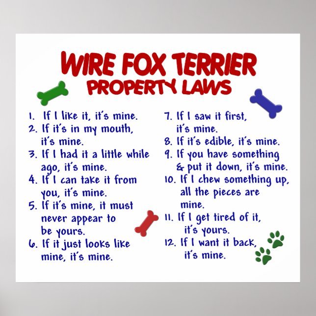 WIRE FOX TERRIER PL2 POSTER (Framsidan)