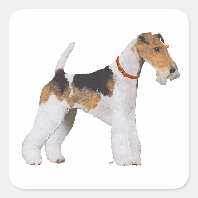Wire Foxterrier Fyrkantigt Klistermärke (Framsida)