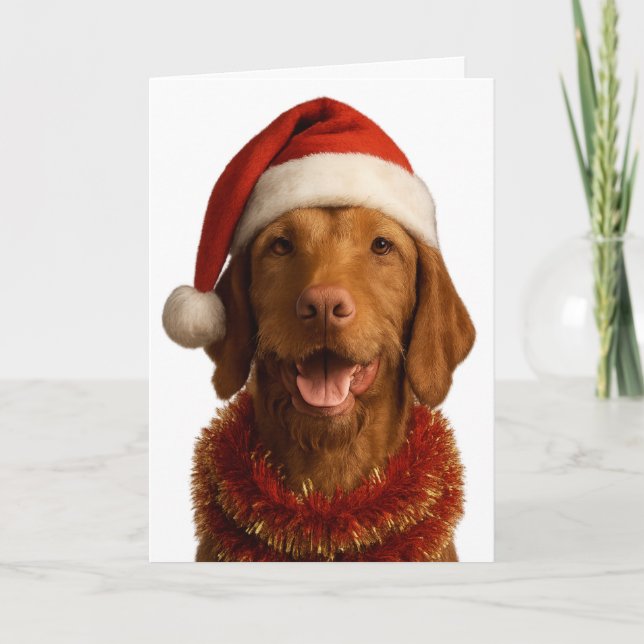 Wire haired Vizsla in a Santa hat Christmas card Kort (Framsida)
