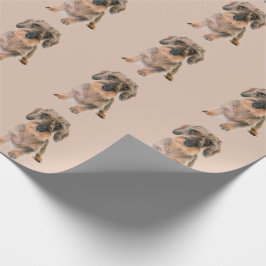 Wire Hved Terrier Hund Brown Modern Animal Cute Presentpapper