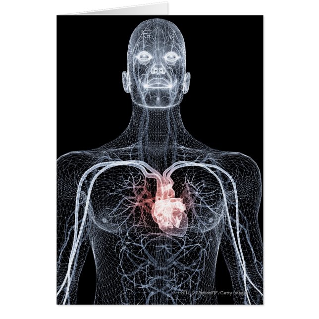 Wireframe av blodkärlen i upperen förkroppsligar hälsningskort (Framsidan)