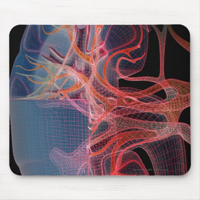 Wireframe av insidan av en njure musmatta (Framsidan)