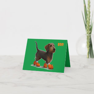 Wirehair Dachshund Halloween-kort Kort