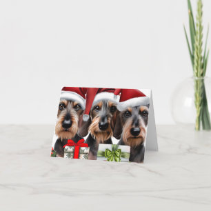 Wirehair Dachshund julkort Kort