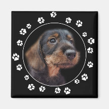 Wirehair Dachshund Puppy Tass avtryck