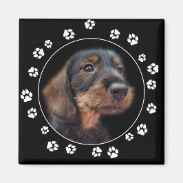 Wirehair Dachshund Puppy Tass avtryck Magnet