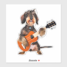 Wirehair Dachshund Spela upp akustiskt gitar
