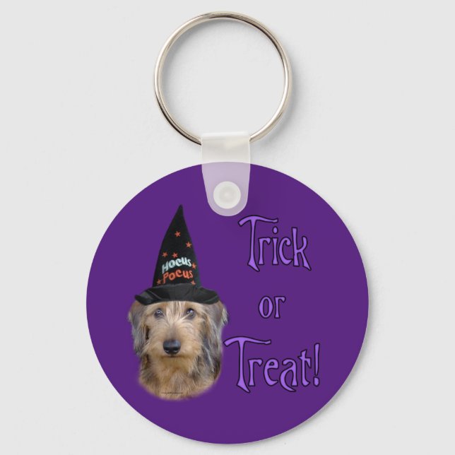 Wirehair Dachshund Trick Nyckelring (Framsida)