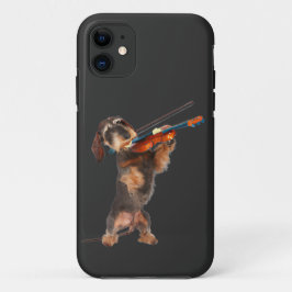 Wirehair Dachshund Violinist