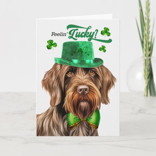 Wirehair Pointing Griffon Lucky St patrick's day Helgkort (Framsida)