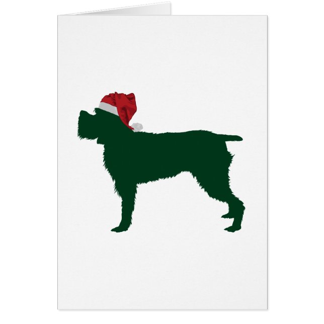 Wirehaired peka Griffon Hälsningskort (Framsidan)