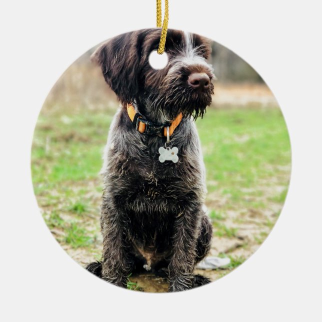 Wirehaired peka Griffon valp Julgransprydnad Keramik (Framsidan)