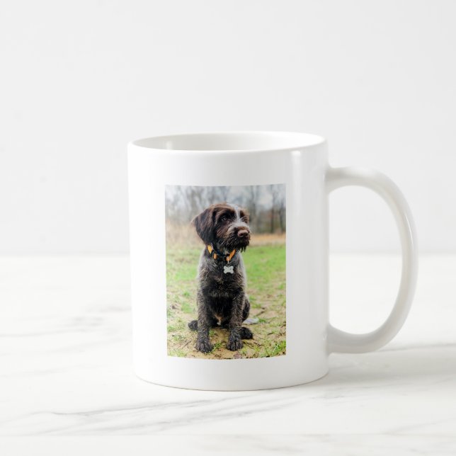 Wirehaired peka Griffon valp Kaffemugg (Höger)