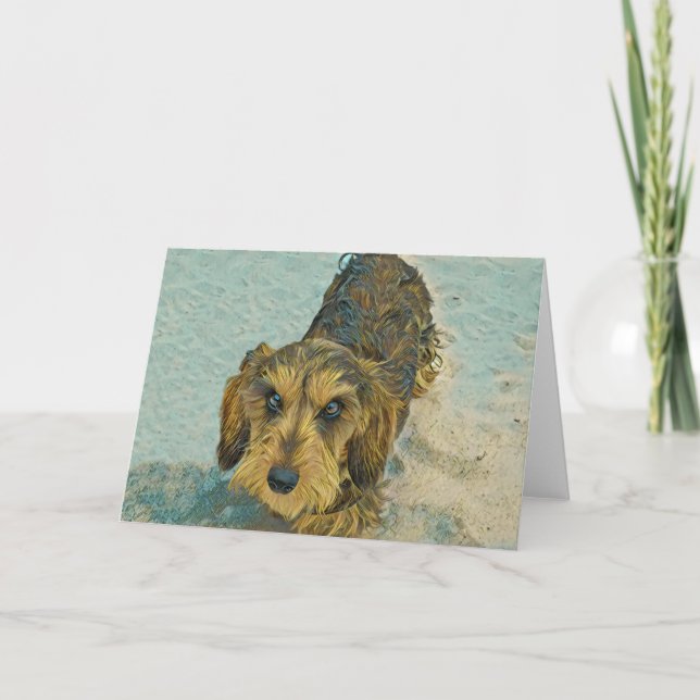 wirehaired tax kort (Framsida)