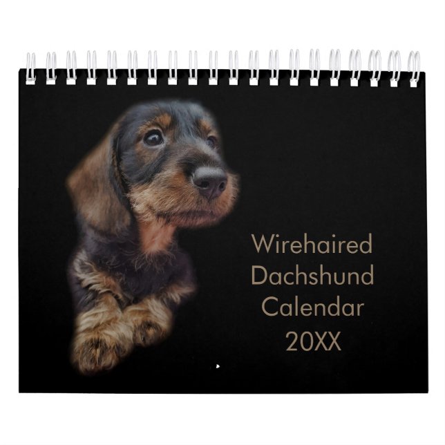Wirehsted Dachshund Calendar Kalender (Omslag)