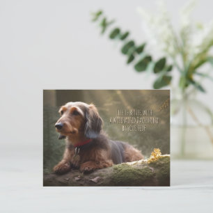 Wirehsted Dachshund i Forest Vykort