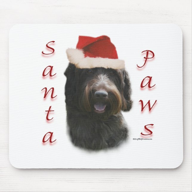 Wirehsted Pointing Griffon Santa Tassar Musmatta (Framsidan)