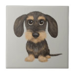 Wirehved Dachshund | Cute Tecknad hund Teckel Kakelplatta<br><div class="desc">Stränggående vild och tan färgad Teckel. Besök Jenns Doodle World om du vill ha ännu fler tillbehör till hemmet och kontoret med det här roliga Dachshund och mer originella wiener hund design.</div>