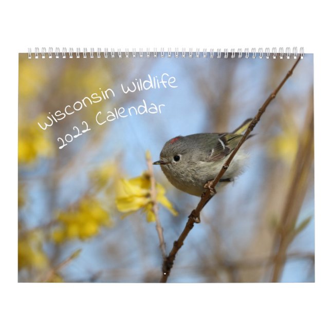 Wisconsin 2022 Wildlife Calendar Kalender (Omslag)
