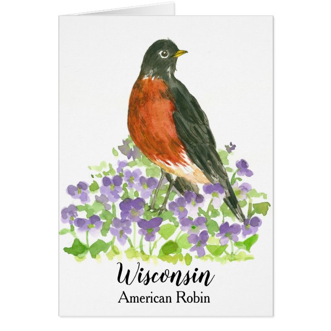 Wisconsin American Robin State Bird Hälsningskort (Framsidan)