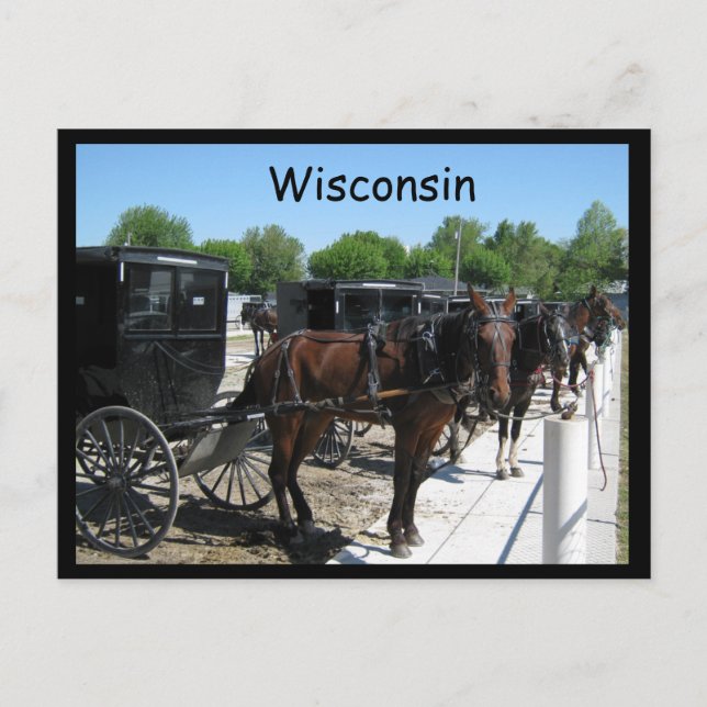 Wisconsin Amish Vykort (Framsida)