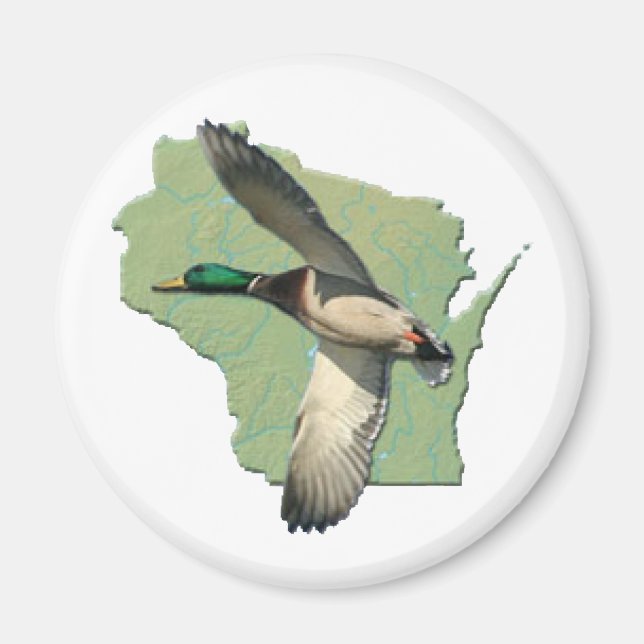 Wisconsin anka magnet (Framsidan)
