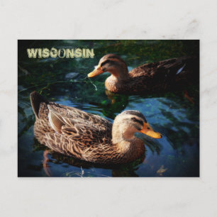 Wisconsin Ankor Vykort