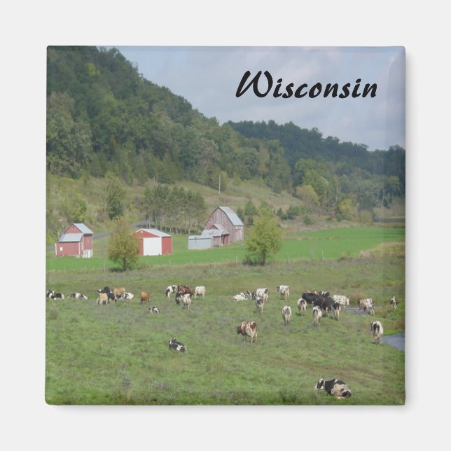 Wisconsin Backe Magnet (Framsidan)