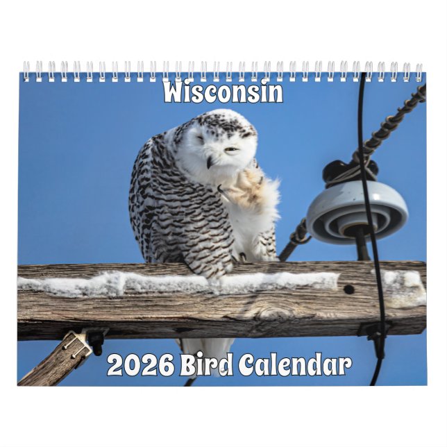 Wisconsin Birds Calendar 2026 Kalender (Omslag)