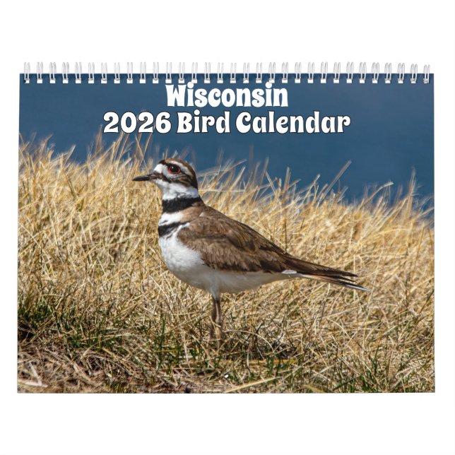 Wisconsin Birds Calendar 2026 Kalender (Omslag)