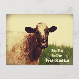 Wisconsin Cow-vykort Vykort