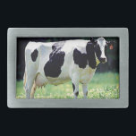 Wisconsin Dairy Cow<br><div class="desc">Wisconsin's Husdjur är Dairy Cow.</div>
